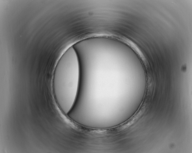 X0000102370810200808011022
