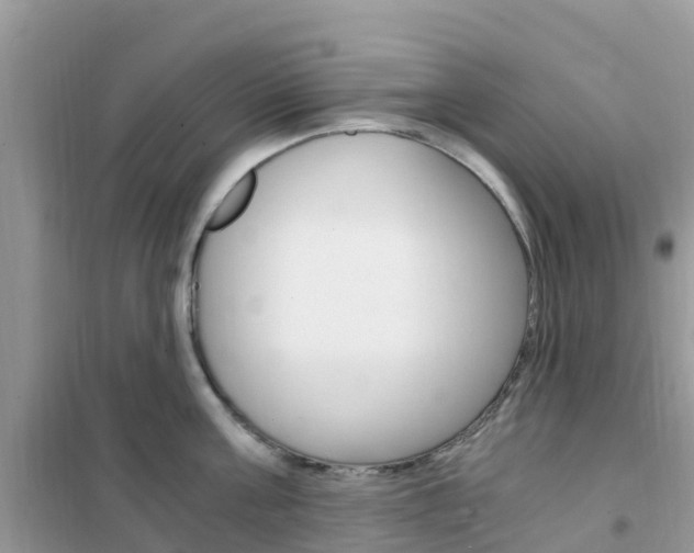 X0000102370811200808011022