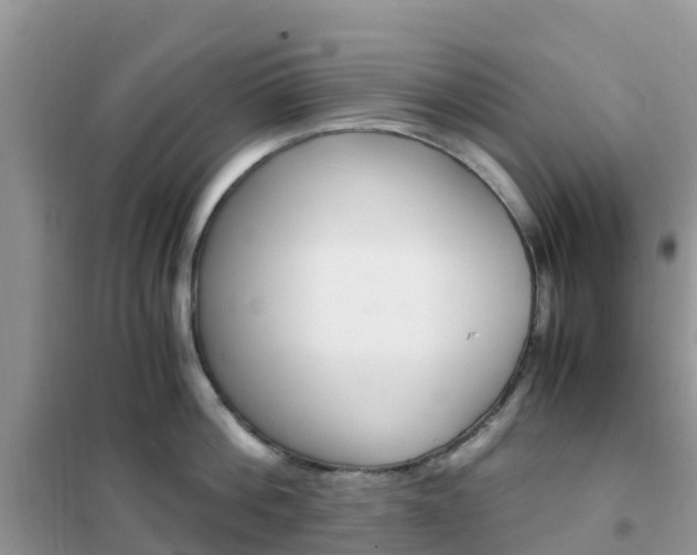 X0000102370812200808011022