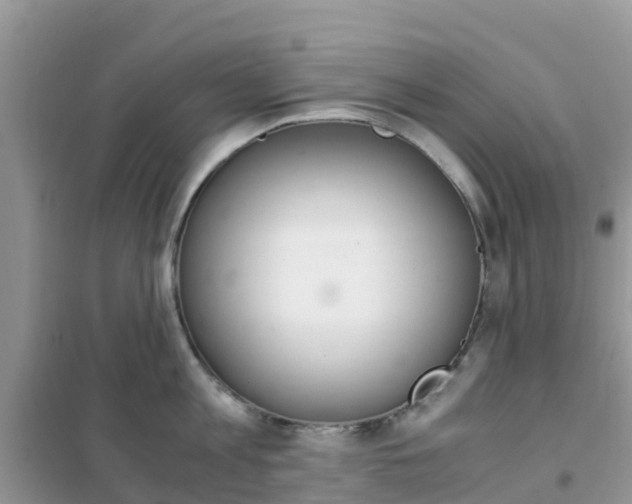 X0000102370813200808011022