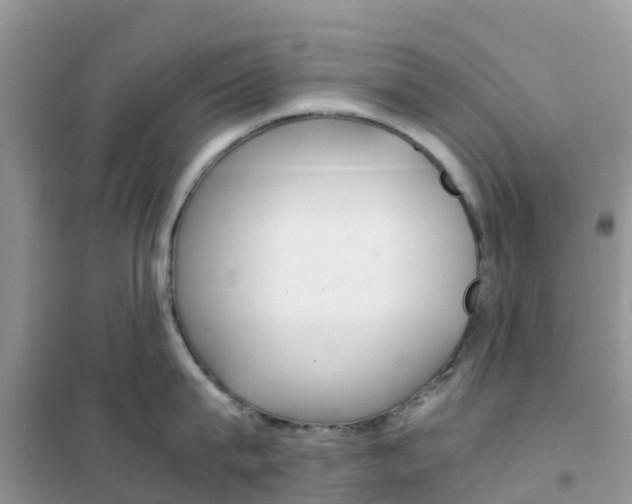 X0000102370815200808011022