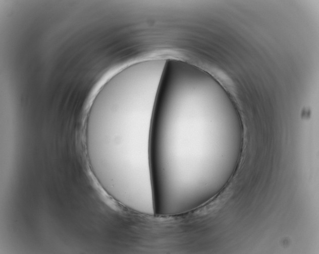 X0000102370816200808011022