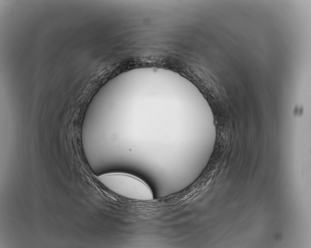 X0000102370817200808011021