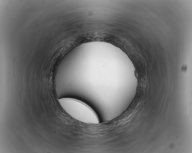 X0000102370818200808011021