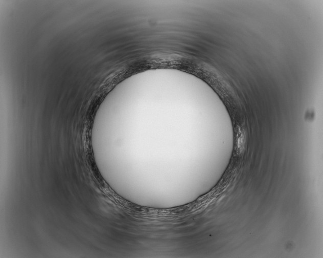 X0000102370819200808011021