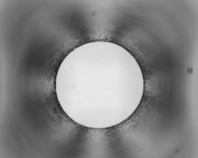 X0000102370820200808011021