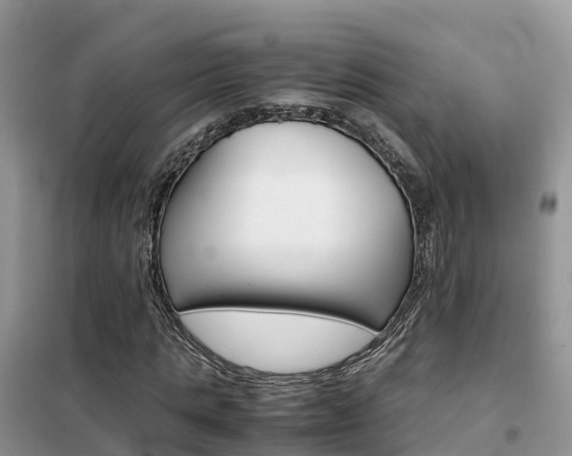 X0000102370821200808011021
