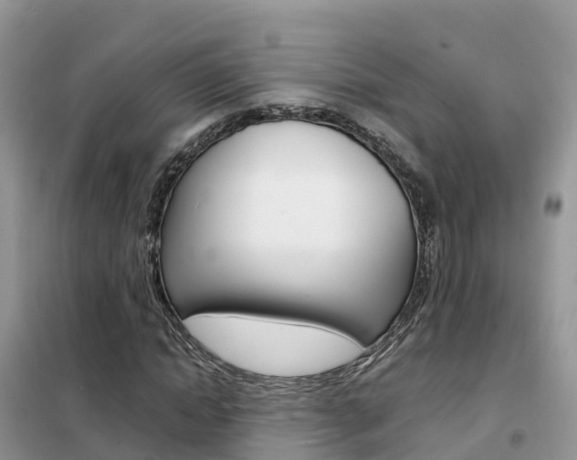 X0000102370822200808011021