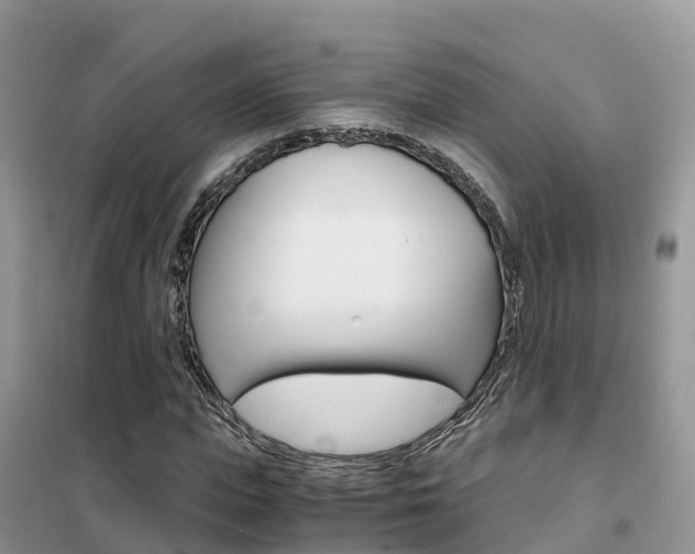 X0000102370823200808011021