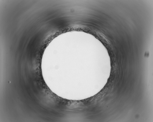 X0000102370824200808011021