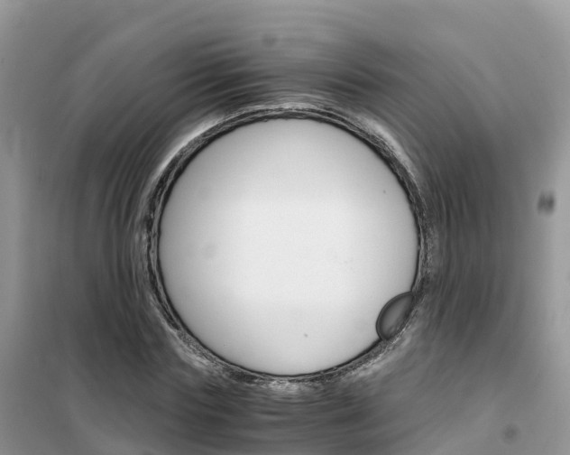 X0000102370827200808011021