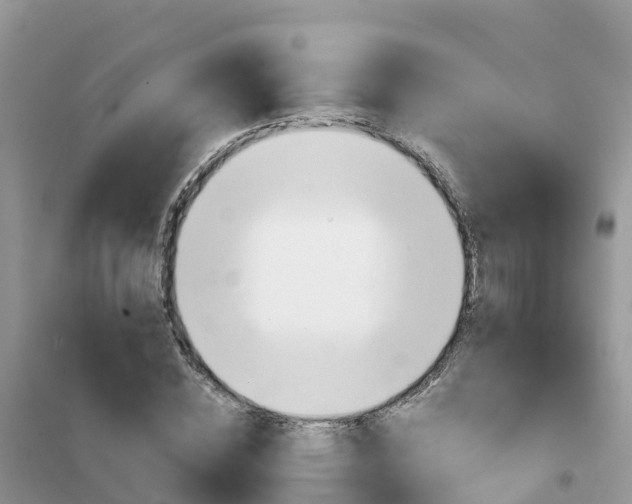 X0000102370828200808011021