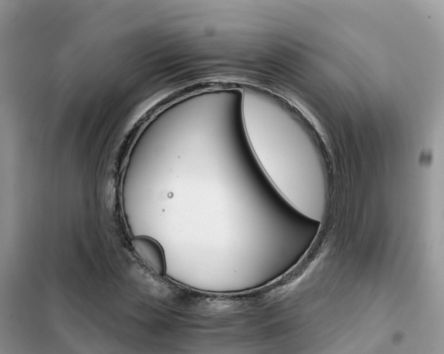 X0000102370829200808011021