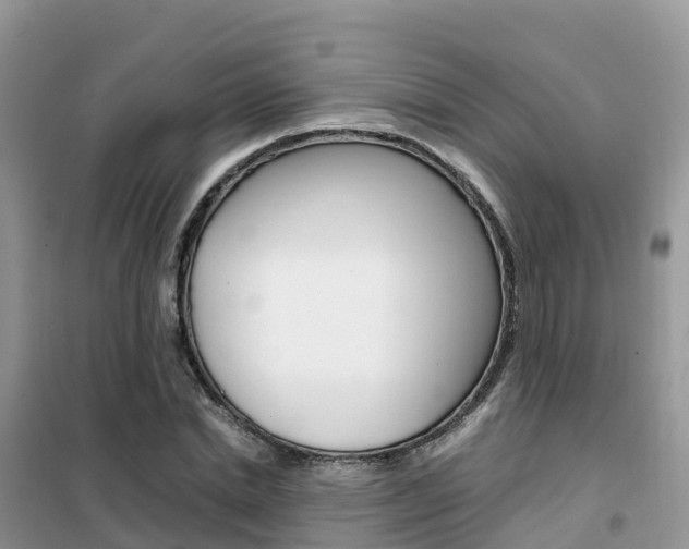 X0000102370830200808011021