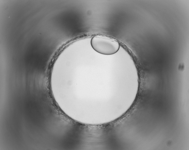 X0000102370832200808011022