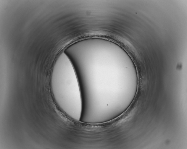 X0000102370833200808011022