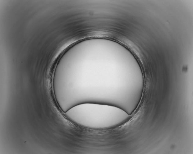 X0000102370835200808011022