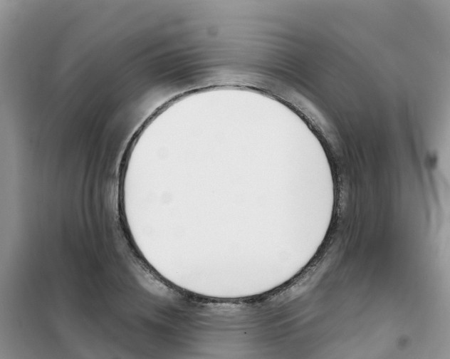 X0000102370836200808011022