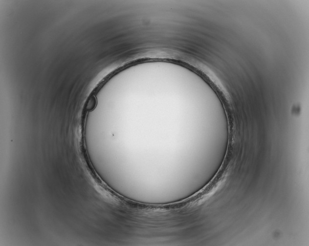 X0000102370837200808011022