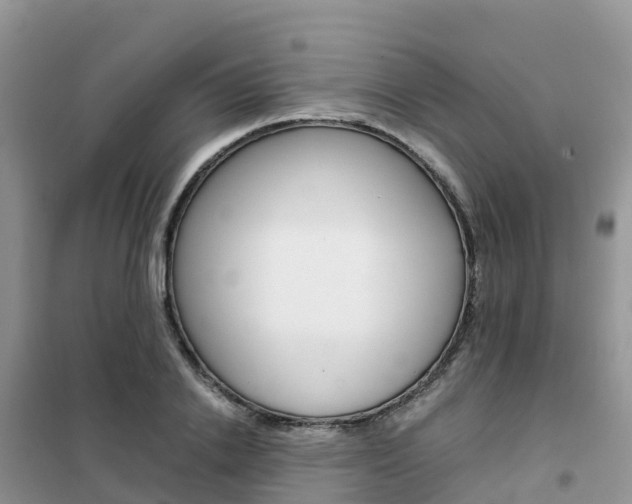 X0000102370838200808011022