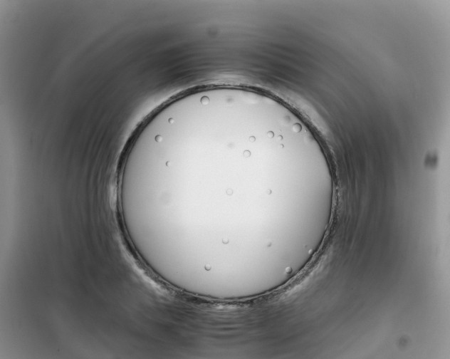 X0000102370839200808011022