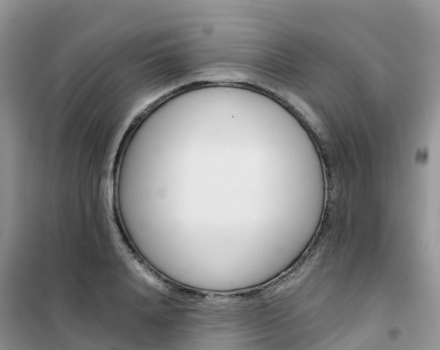 X0000102370840200808011022