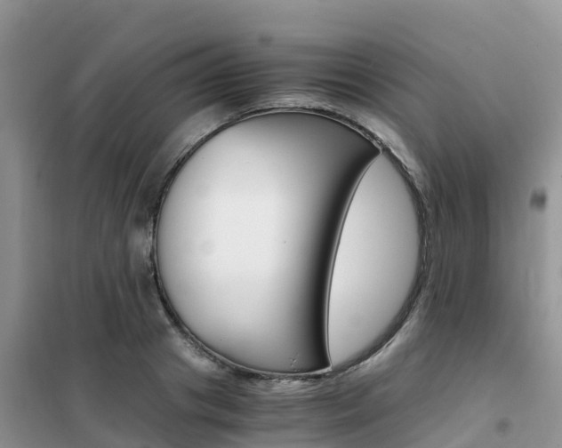 X0000102370841200808011022