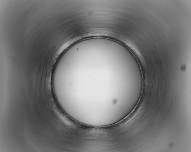 X0000102370842200808011022