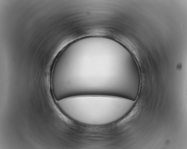 X0000102370843200808011022