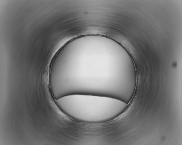 X0000102370844200808011022