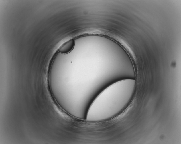 X0000102370845200808011022