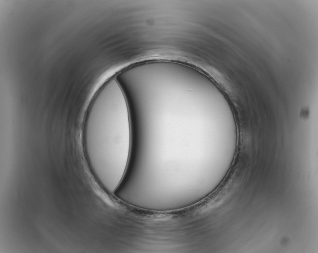 X0000102370846200808011022