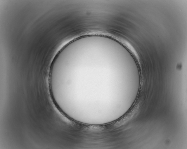 X0000102370847200808011022