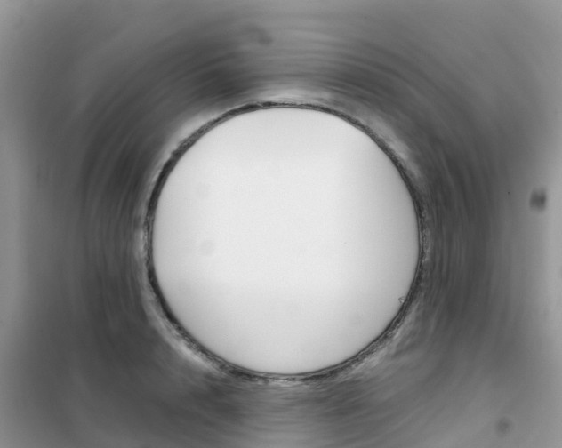 X0000102370848200808011022