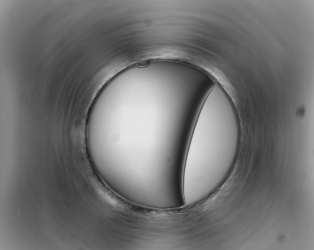 X0000102370850200808011022
