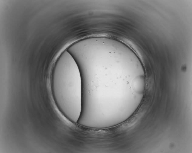 X0000102370851200808011022