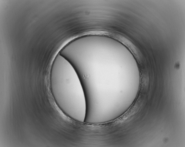 X0000102370852200808011022