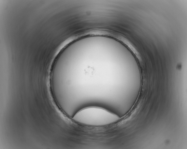 X0000102370853200808011022