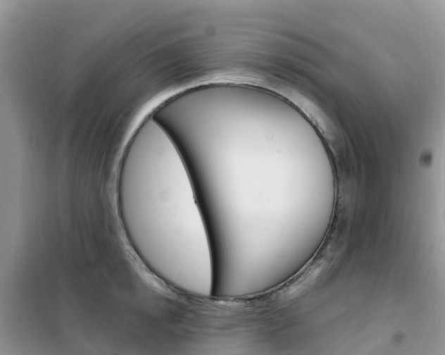 X0000102370854200808011022