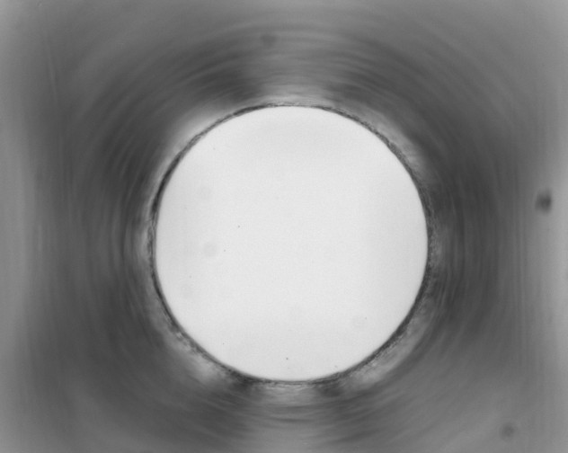 X0000102370856200808011022