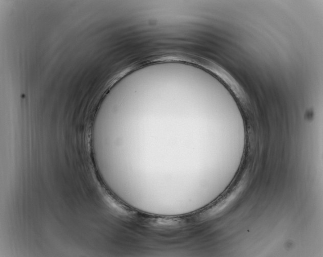 X0000102370857200808011022