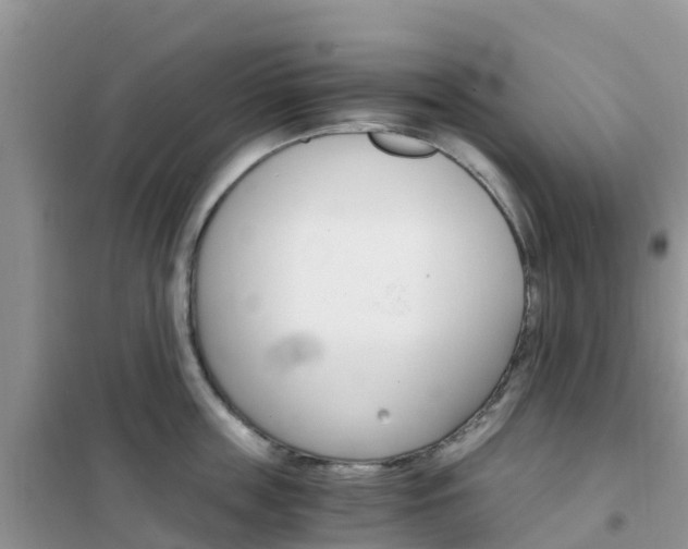 X0000102370859200808011022