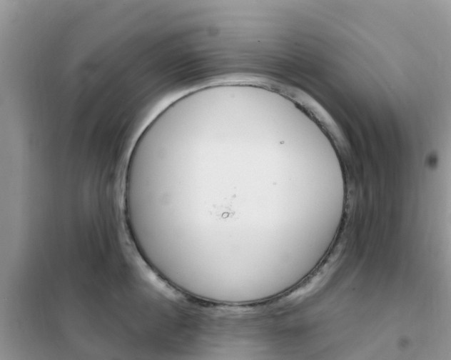 X0000102370860200808011022