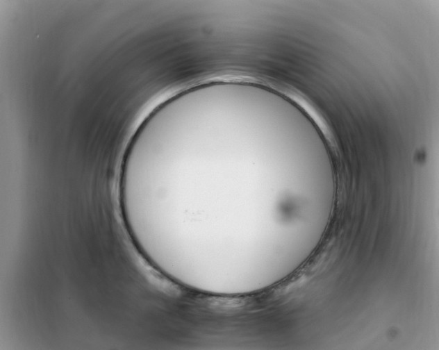 X0000102370861200808011022