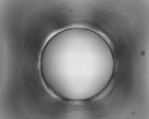 X0000102370862200808011022