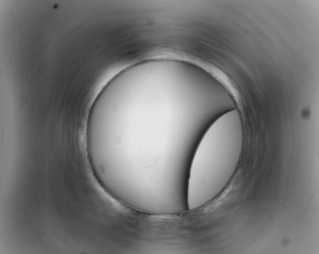 X0000102370863200808011022