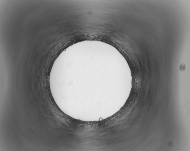 X0000102370865200808011021