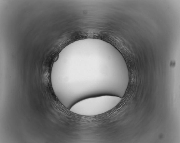 X0000102370866200808011021