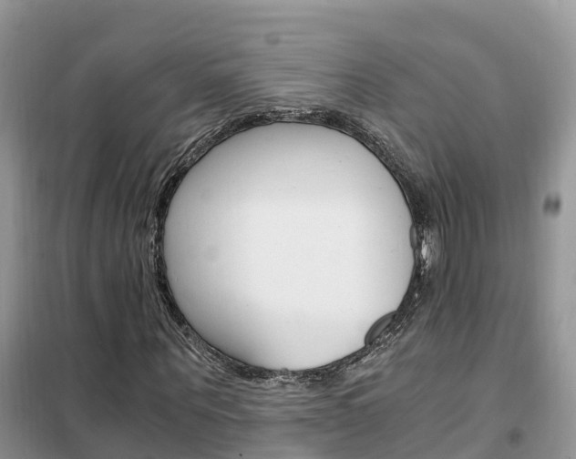X0000102370867200808011021