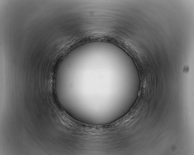 X0000102370868200808011021
